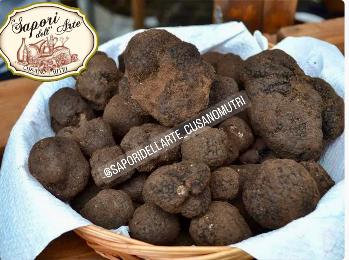 Tartufo nero estivo
